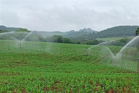 Água que transforma: como a irrigação impulsiona a agricultura gaúcha
