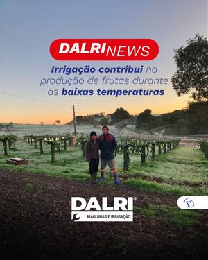 Garantindo a Produção de Pitayas Durante Baixas Temperaturas