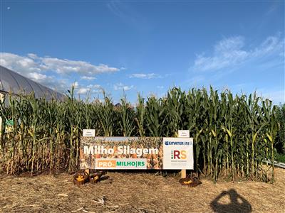 Expo Direto: RBS Destaca Sistema de Irrigação da Dalri Máquinas