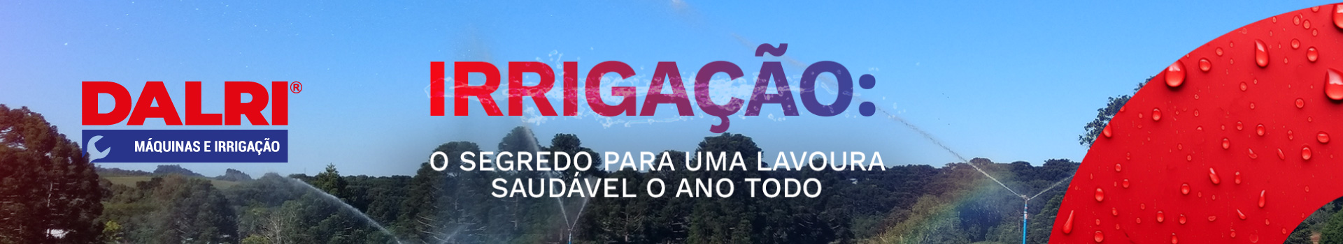 Irrigação